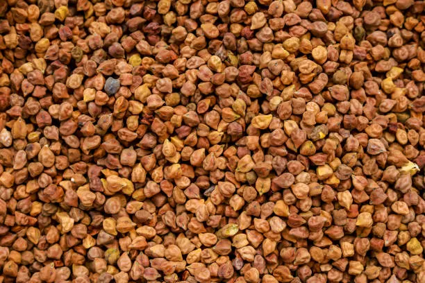 Chana